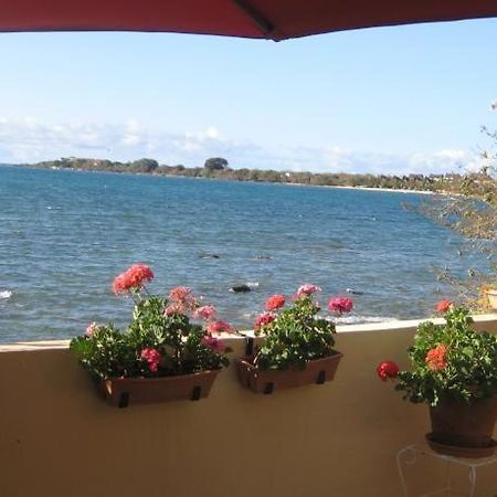 Le Cactus Guesthouse Terre Rouge  Екстер'єр фото